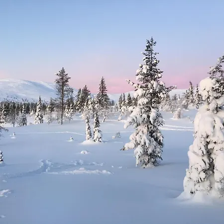 Chalet Atmospheric Log By The Tracks *