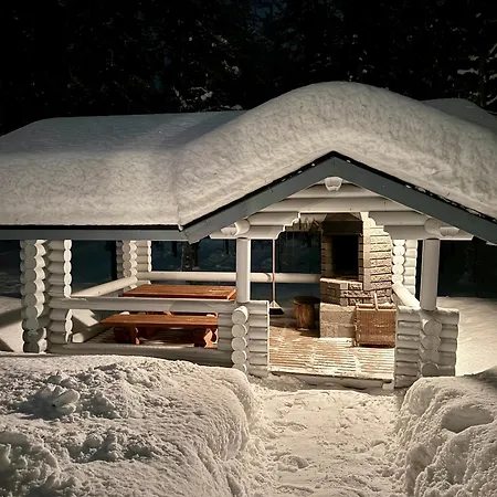 Atmospheric Log By The Tracks Alpehytte